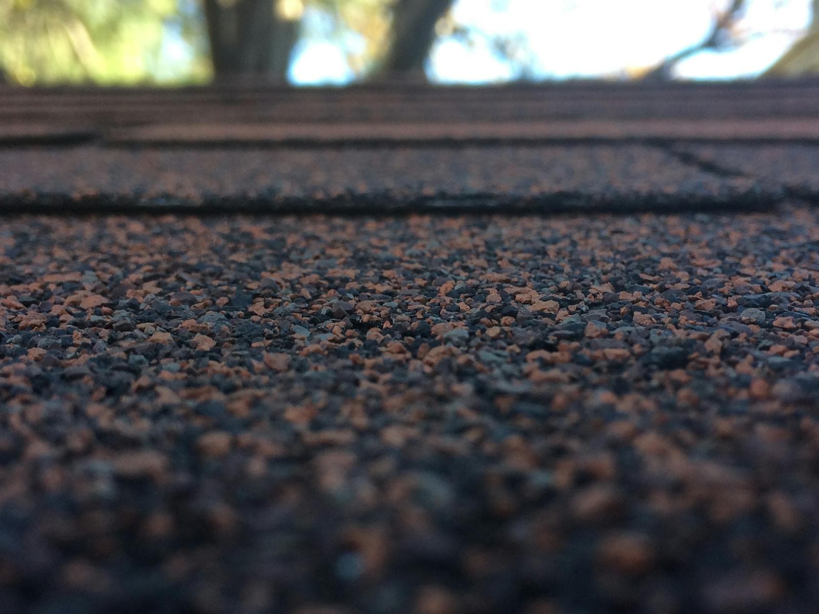 Vista macro de granulado desgastado en tejas asfálticas con luz de tarde