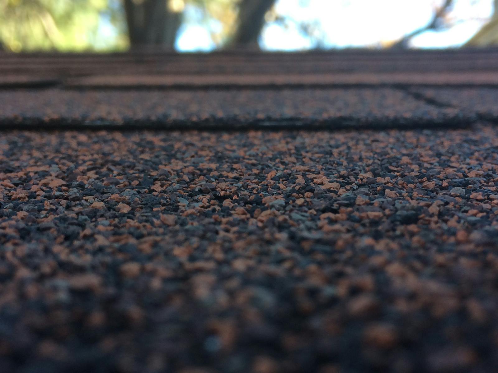 Macro view of weathered asphalt shingle granules in afternoon light